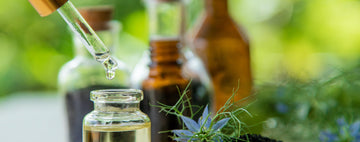 Guía para Elegir los Mejores Aceites Esenciales en la Elaboración de Jabones